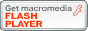 Flash Player button